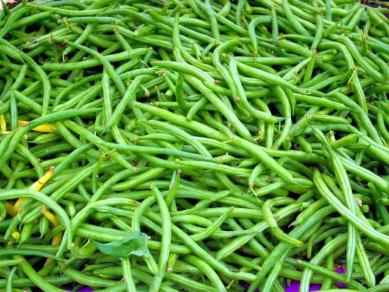 Green Beans
