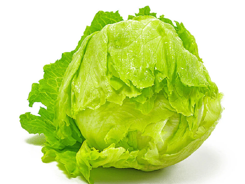Fresh Lettuce